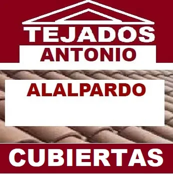 reparacion de tejados Alalpardo