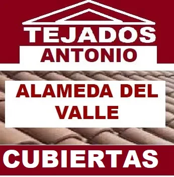 reparacion de tejados Alameda del Valle