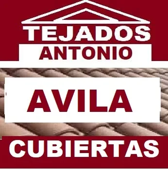 reparacion de tejados Ávila
