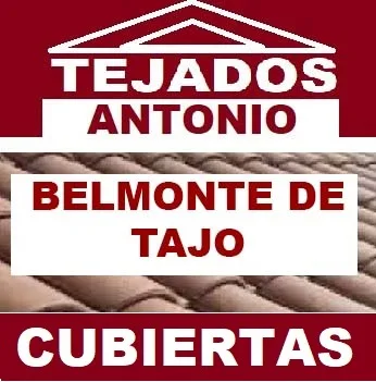 reparacion de tejados Belmonte de Tajo