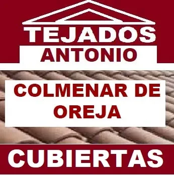reparacion de tejados Colmenar de Oreja
