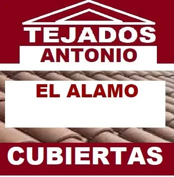 reparacion de tejados El Álamo