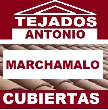 reparacion de tejados Marchamalo