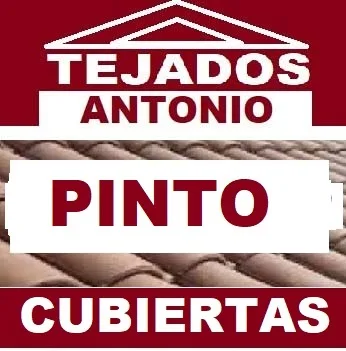 reparacion de tejados Pinto
