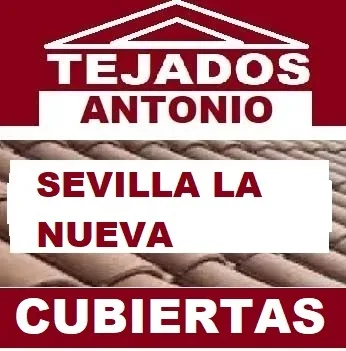 reparacion de tejados Sevilla la Nueva