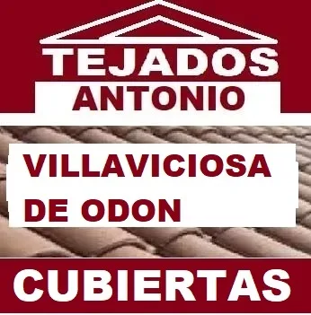 reparacion de tejados Villaviciosa de Odón